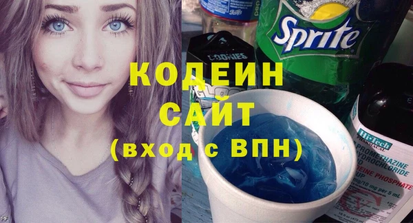 молекула духа Осинники