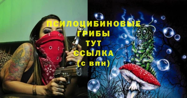 дживик Абинск