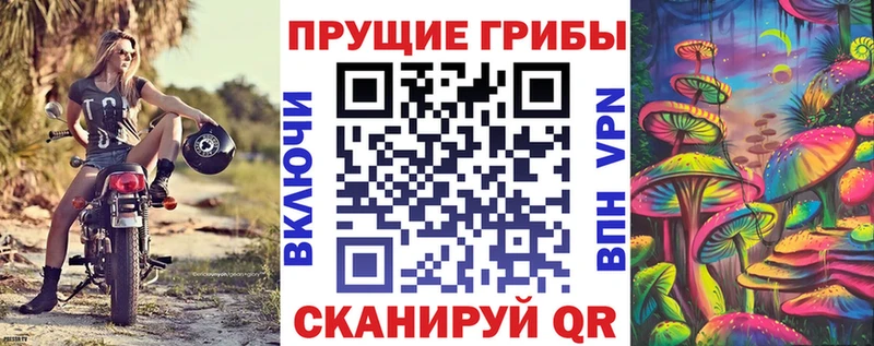 это Telegram Донской Галлюциногенные грибы GOLDEN TEACHER сколько стоит